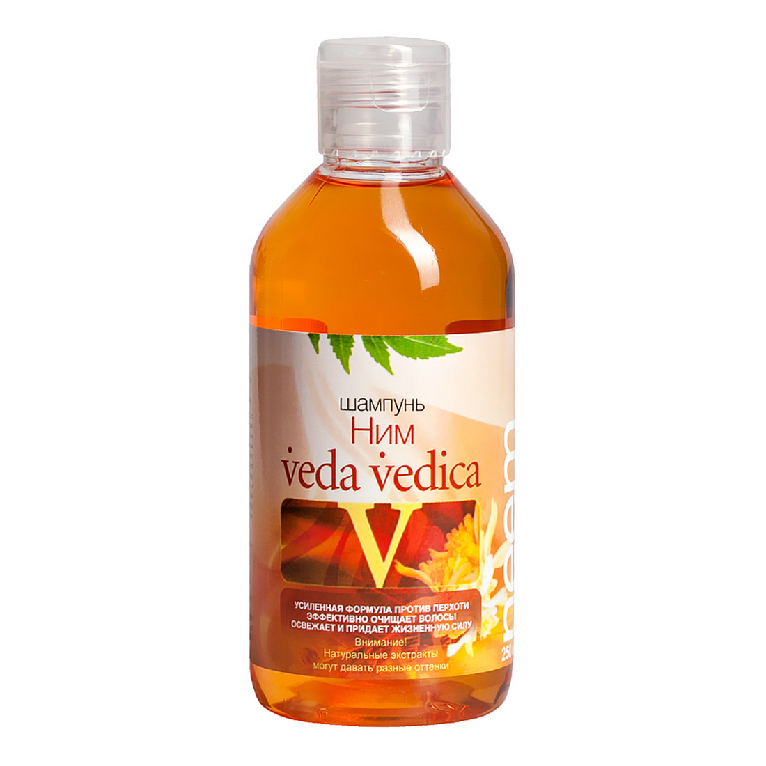 Labbio шампунь от перхоти салициловый. Arte шампунь. Лаббио шампунь сульсеновый 250 мл. Зеленый шампунь bio. Шампунь selfielab.