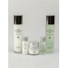 Набор для лица с экстрактом алоэ Aloe Aqua Balance Skin Care 3 Set 410 мл Jigott