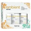 Набор для ухода за поврежденными волосами / Revival Damage Hair Care Kit, 250 мл x 3 TEFIA Ambient