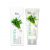 Интенсивный крем для рук с экстрактом зелёного чая Hand Cream Intensive Green Tea 100 мл. Ekel
